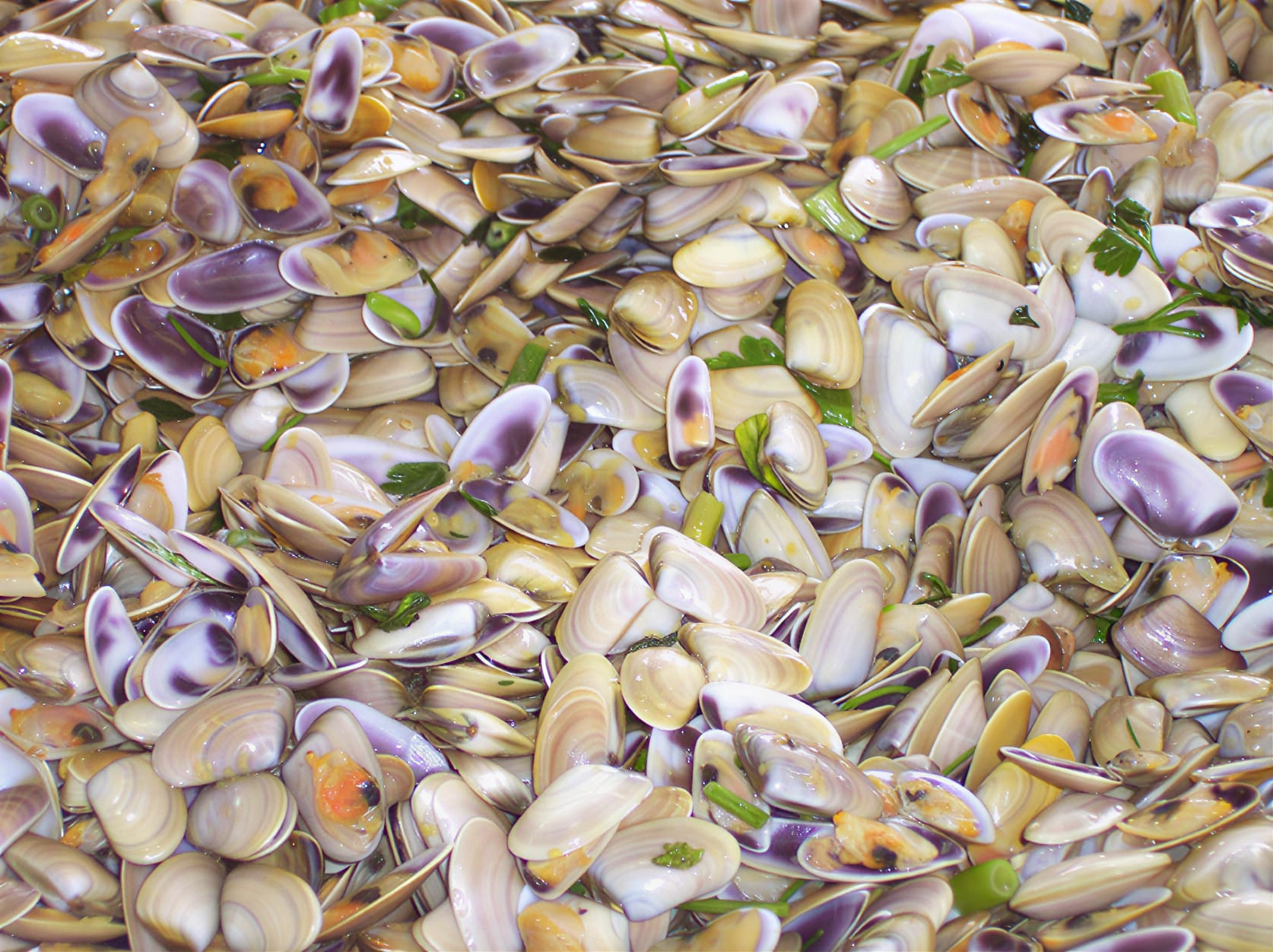 Abondantes palourdes cuites, coquilles ouvertes beige et violet, nappées de sauce et garnies d'herbes fraîches.