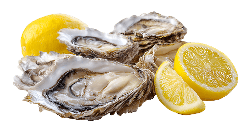 Dégustation d'huîtres fraîches avec citron juteux Huitres fraîches ouvertes servies avec un citron entier et deux quartiers de citron, présentées sur fond noir.