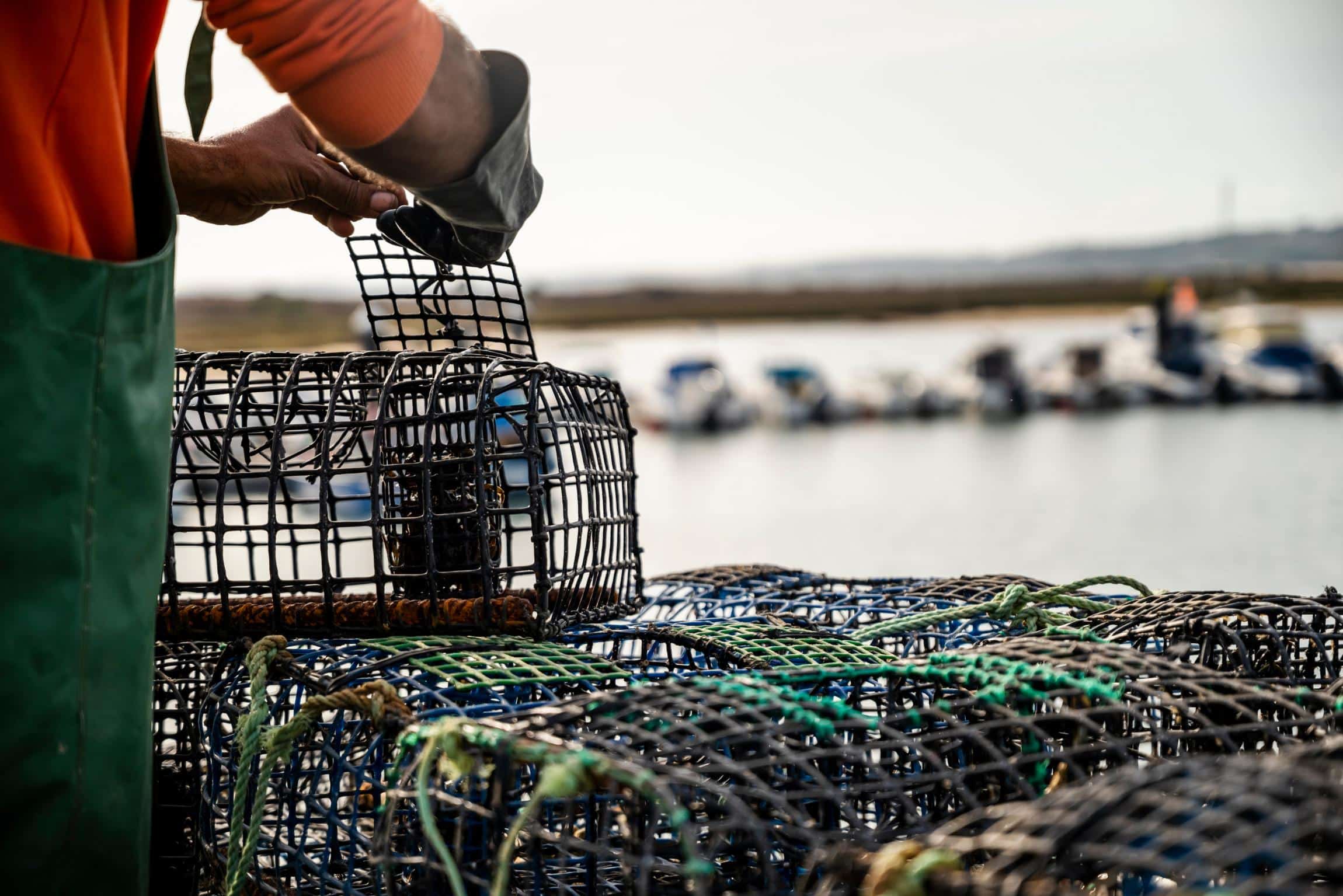Pêcheur préparant des casiers de pêche empilés sur un quai. Nasses en fil de fer et plastique, bateaux de pêche à l'horizon.